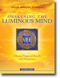 Awakening to the Luminous Mind